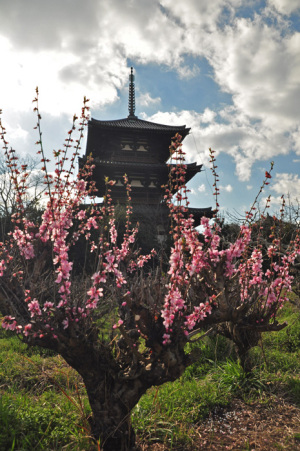 法起寺