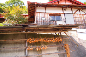天川村萌の朱雀ロケ地～みたらい渓谷