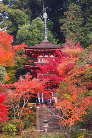 浄瑠璃寺