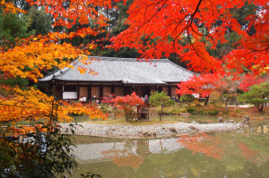 浄瑠璃寺