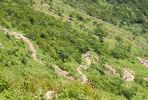伊吹山