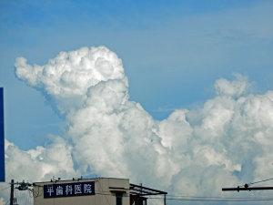 子象に似た入道雲